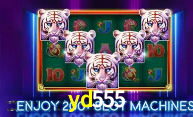 yd555