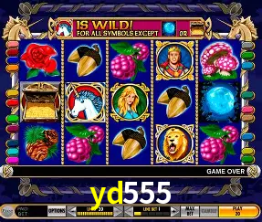Descubra o Mundo do Cassino Online com yd555